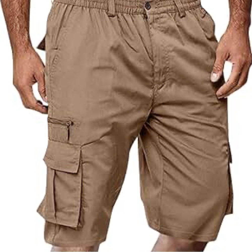 Roundtree and Yorke cargo shorts